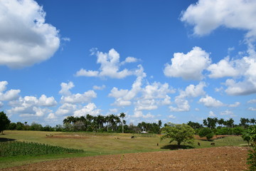 Fototapeta na wymiar Quellwolken über kubanischer Landschaft