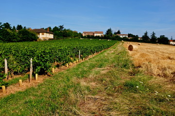 campagne beaujolais