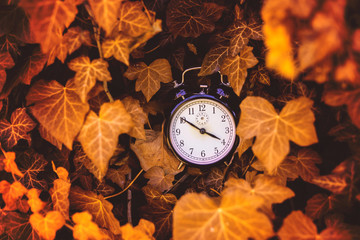 Old alarm clock between yellow leaves in the nature