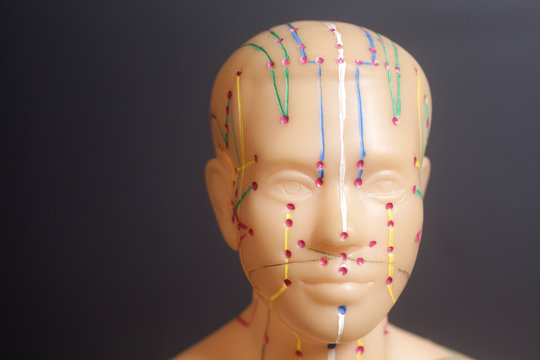 Medical acupuncture model of human head on black background