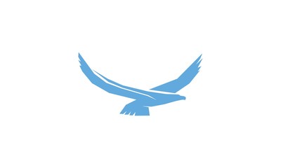 Blue Hawk Logo