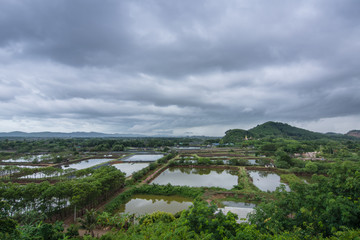 Landscape rural shrimp farm  in Chanthaburi Thailand.