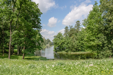 The shores of the lake, surrounded by green forest and meadow in the Park of Gatchina.