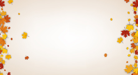 Autumn background with maple leaves.