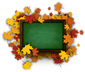 Background with blackboard and maple leaves.
