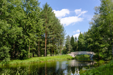 Obraz premium Openwork bridge in the forest on blue sky background