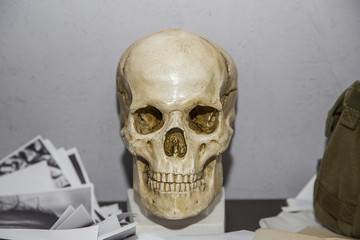 stillife composition human skull in pappers on the table
