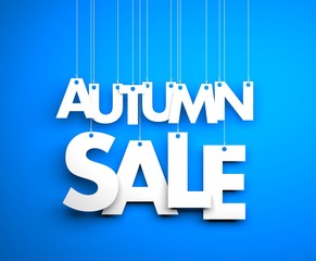Autumn sale - text hanging on the strings. 3d illustration
