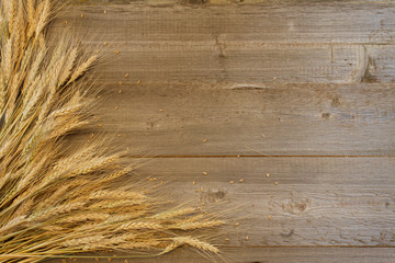 wheat ears with grains on the wooden background