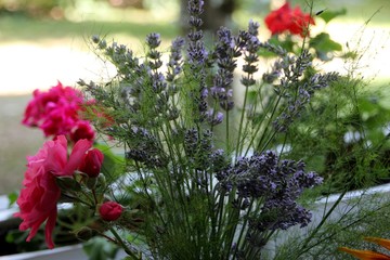 Lavendel