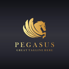 Pegasus logo.