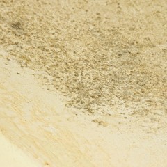 Wall cover with mould