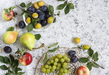Assortment of fresh summer fruit - grapes, pears, apples, plums on a light background, top view. Free space for text