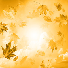 Fototapeta na wymiar Autumn background