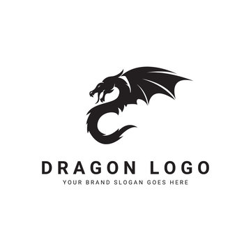 Dragon logo. 