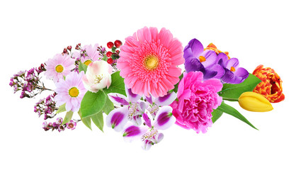 Beautiful flowers collage on white background