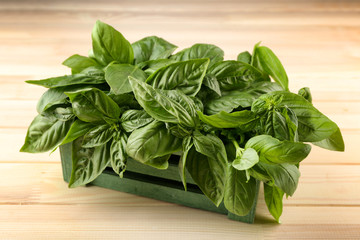 Bunch of fresh basil on wooden table © Africa Studio