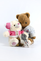 Rats and old soft toys.