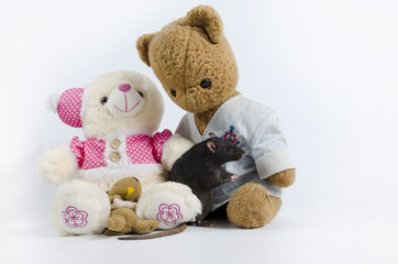 Rats and old soft toys.