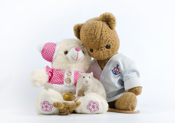 Rats and old soft toys.