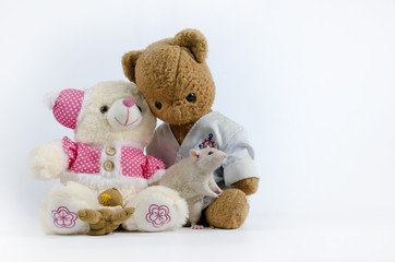 Rats and old soft toys.