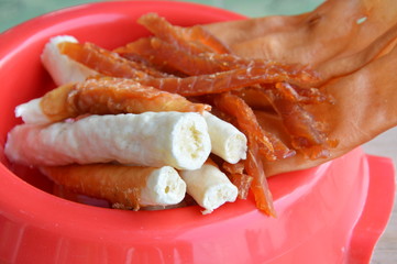 variety dog and cat snack on red plastic bowl