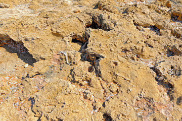 Seabed during the ebb tide period