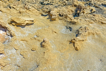 Seabed during the ebb tide period