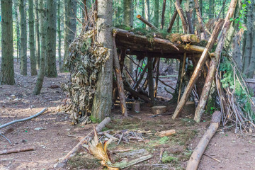 tree hut of branches and leaves forest view © jaapbleijenberg