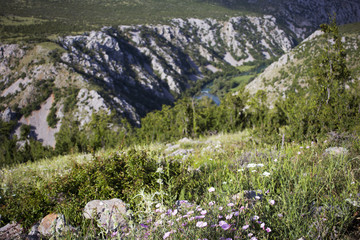 Beautiful Krupa river canyon, Croatia