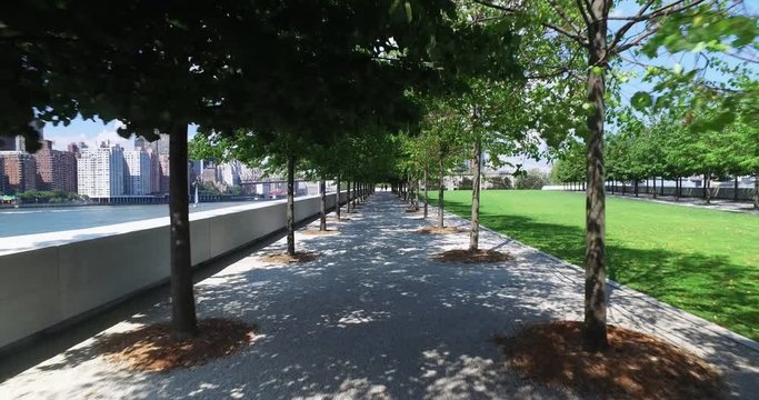 A walking dolly shot of peaceful the treelined paths at Franklin D. Roosevelt Four Freedoms Park on the south end of Roosevelt Island.  	