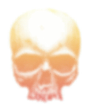 human skull vector illustration.