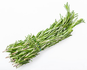 bunch of fresh cut rosemary herb on white