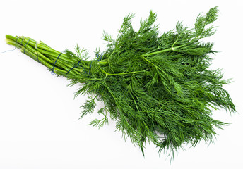 bunch of fresh green dill herb on white