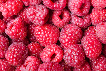 many berries of ripe raspberry close up