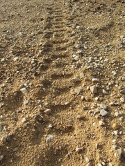 trace de pneu motocross 5