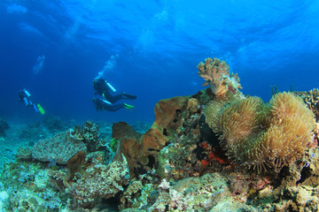 Naklejka na ściany i meble Scuba diver coral reef