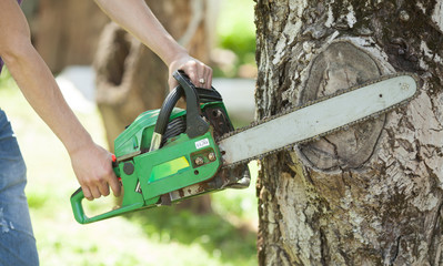 Naklejka premium Chop wood Chainsaw. Close-up professional chainsaw blade cutting log of wood