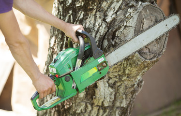 Chop wood Chainsaw. Close-up professional chainsaw blade cutting log of wood