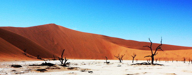 Fototapeta na wymiar Beautiful desert picture