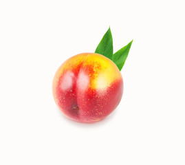 Single peach with leaves on a white background