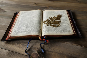 Bible and pressed fern leaf. Non TM Bible