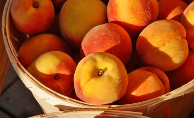 Bushels of fresh peaches