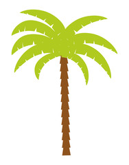 palm tree tropical nature summer beach plant icon. Colorful and isolated design. Vector illustration