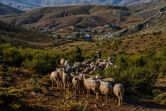 Kırsal Yaşam