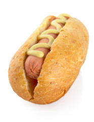 Hot dog with mustard isolated on white