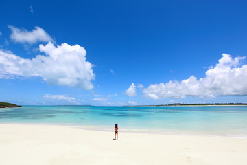 Fototapeta na wymiar 白い砂浜と青い海