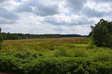 Fototapeta na wymiar Moorlandschaft - Naturlandschaft Sumpf, Sümpfe, Moore