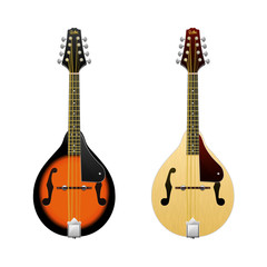 Obraz premium Realistic vector Mandolin / isolated on white mandolin / Folk music instrument / Mini-guitar