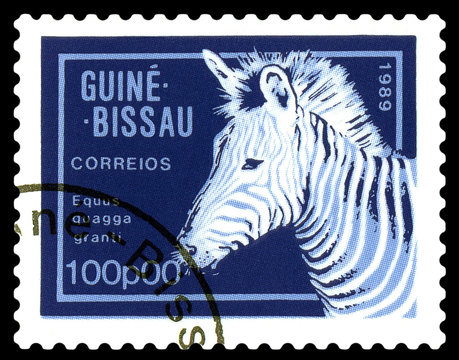 Postage stamp. African Zebra.